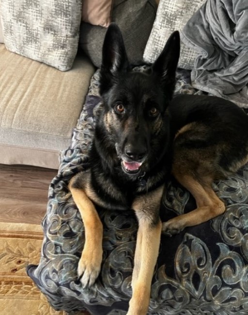 Vader